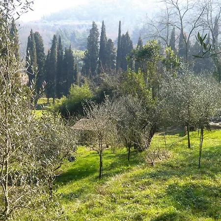 Casa Carla, * Ripafratta